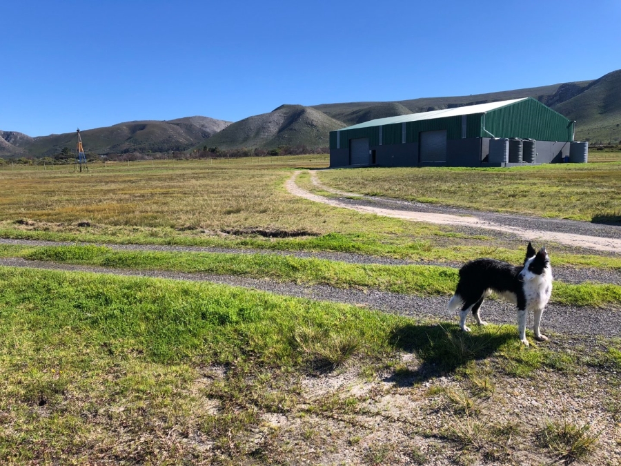 Commercial Property for Sale in Franskraal Western Cape